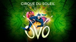 OVO - Cirque du Soleil : Mídia Day